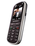 Best available price of Motorola WX288 in Comoros