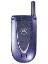 Best available price of Motorola V66i in Comoros